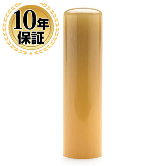 オランダ水牛 【13.5mm】 純白
