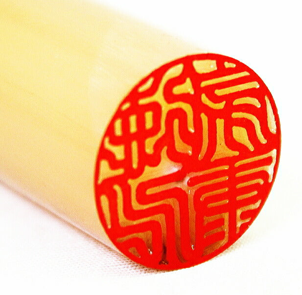 オランダ水牛 【10.5〜18.0mm】