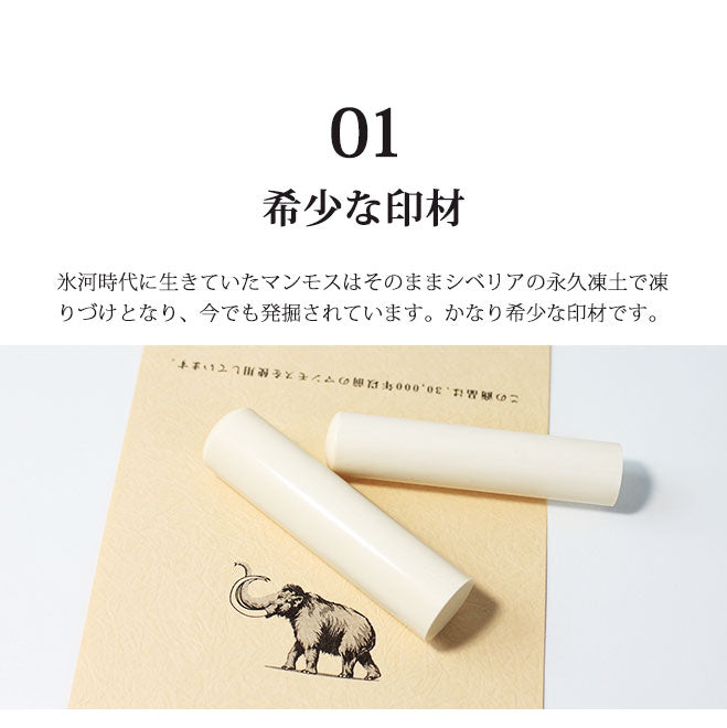 マンモス 高級もみ革印鑑ケース付 【12.0mm】