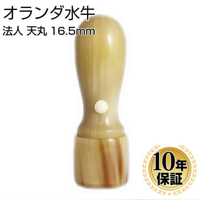 オランダ水牛 【16.5mm】 天丸蓋付